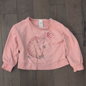 Carter's 3T Pink Sweatshirt with Hedgehog and Butterfly